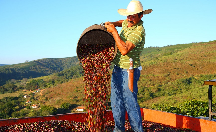 кофе в зернах бразилия серрадо