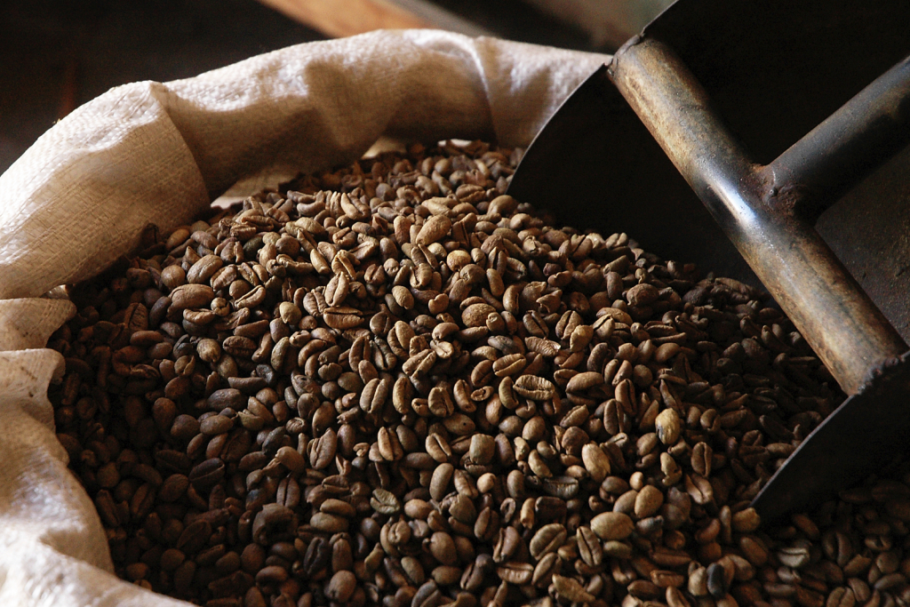 кофейные зерна