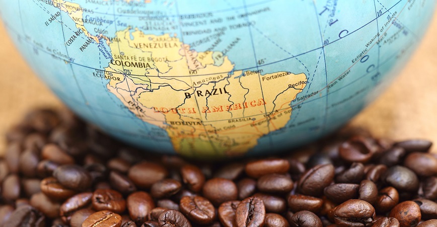 бразильская арабика