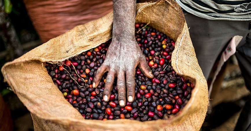 эфиопский кофе