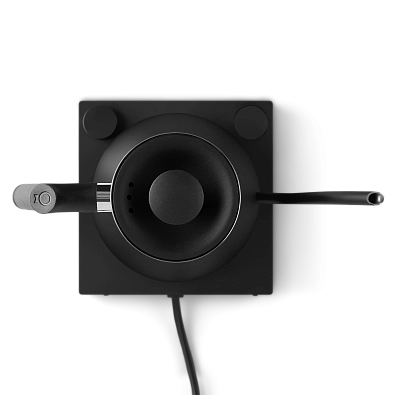 Чайник Fellow Stagg EKG черный